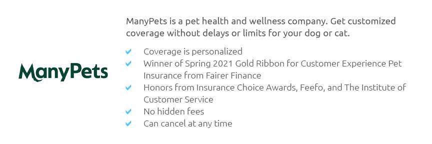 best-pet-life-insurance-jan-2025